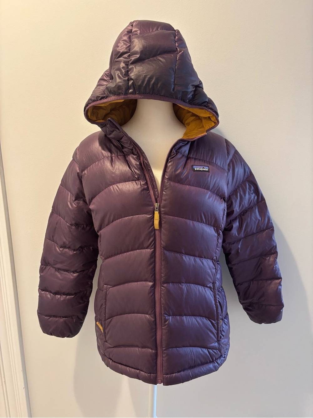 Patagonia Waterproof Jacket